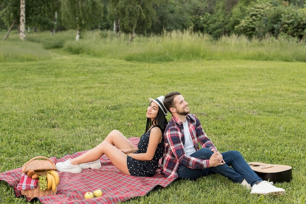 Couple Posing On A Picnic Blanket Free Photo 6989