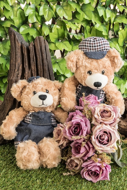 couple teddy