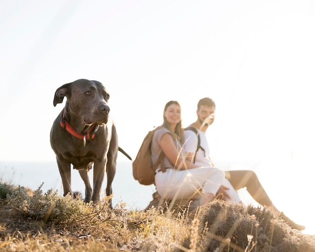 犬と一緒に旅行するカップル 無料の写真