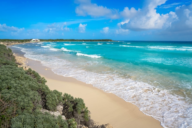 Premium Photo | Cozumel island el mirador beach in mexico