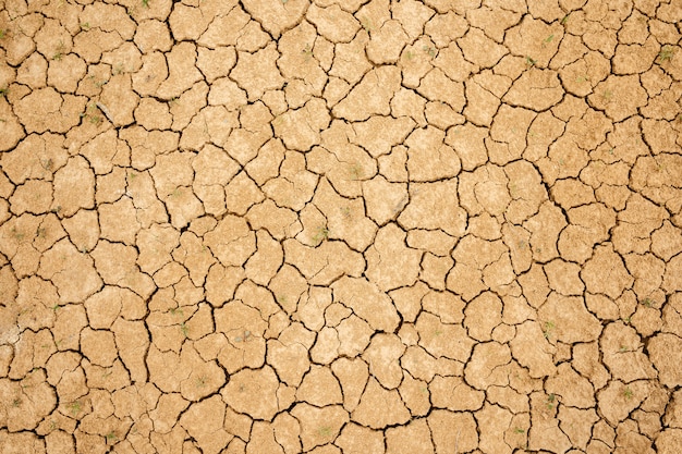 Premium Photo | Cracked dry soil. dry yellow clay soil. fine texture.