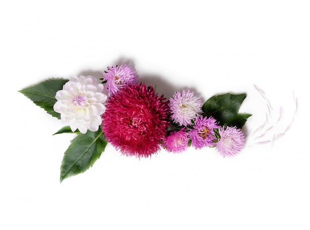 菊とダリアの花を持つ創造的な背景 花柄ボーダーフラットレイアウトのコンセプト プレミアム写真