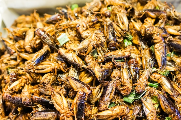 Premium Photo | A cricket's fried or fried insect is native thai food.