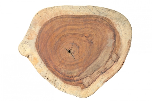 年輪のある木の幹の断面 プレミアム写真