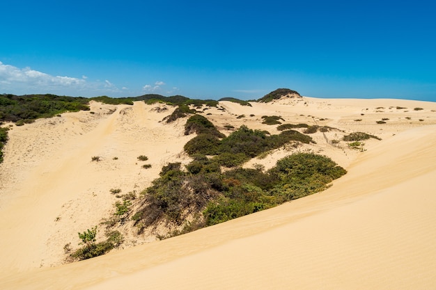 Premium Photo | Cumbuco dunes in caucaia near fortaleza ceara brazil