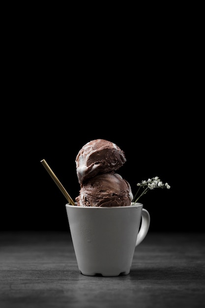 Free Photo | Cup with chocolate ice cream scoops