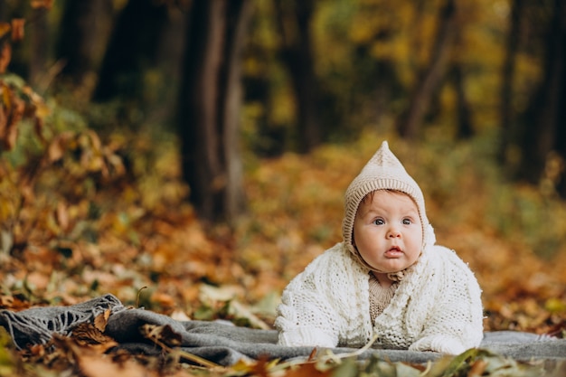 Free Photo | Cute baby girl lying on blanket in autumnal forest