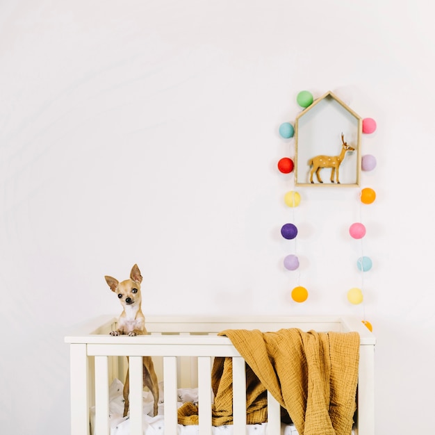 Free Photo | Cute dog in cradle