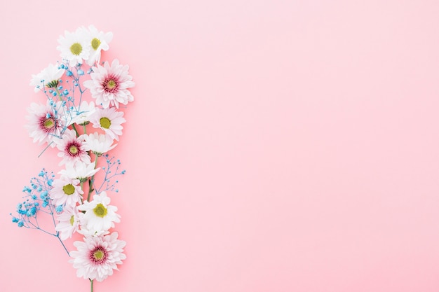 Cute flowers on pink background with space on right Photo | Free Download