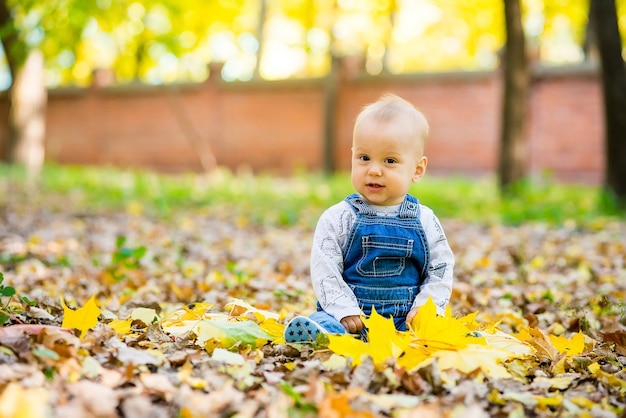 Premium Photo Cute Of Little Baby Sitting