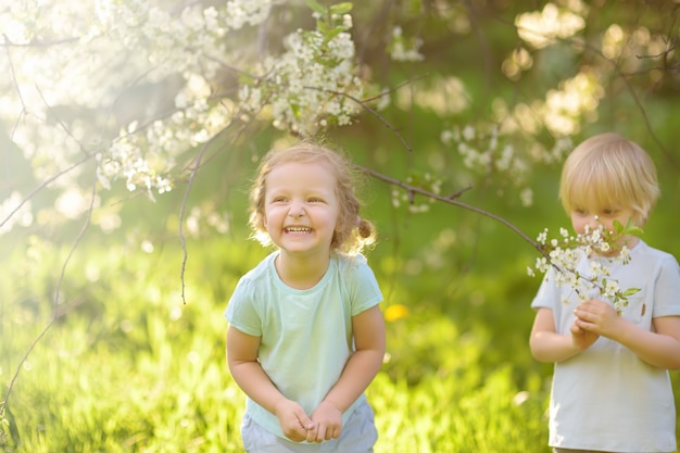 Cute little children playing together in blooming cherry garden. Premium Photo