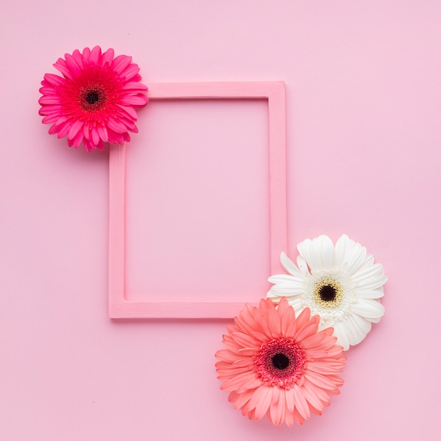 花とコピースペースでかわいいピンクフレーム 無料の写真