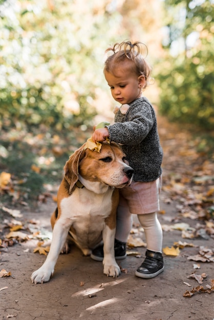ビーグル犬と遊ぶかわいい小さな女の子 無料の写真