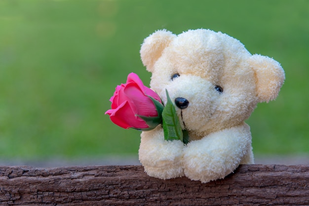 cute teddy images