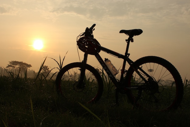 cycling in the morning