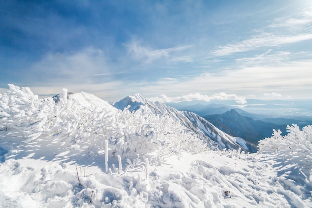 Premium Photo | Daisen mountain in winter was cowered by snow ,japan