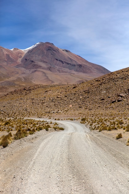 Premium Photo | Dali desert in bolivia