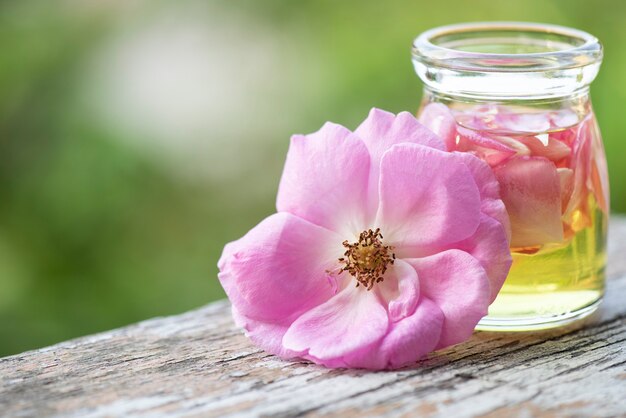 Premium Photo | Damask rose and rose oil on natural.