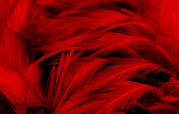 Premium Photo | Dark red feathers vintage background.