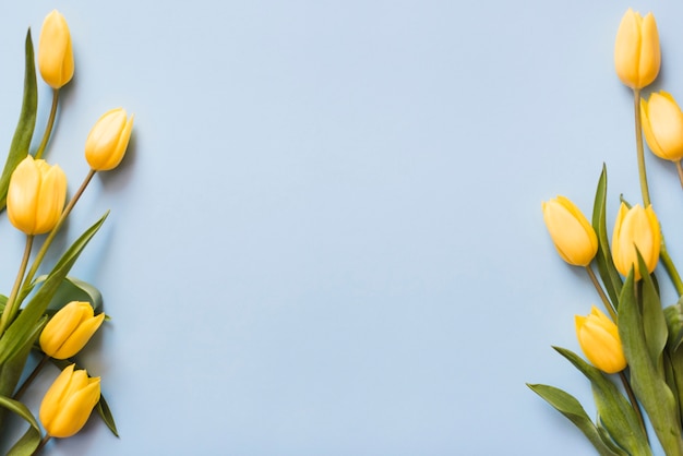 Premium Photo | Decorative colorful tulip flowers on a background