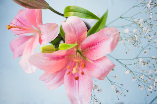 Free Photo | Decorative pink flowers