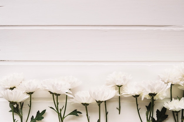 白い背景の前に隙間のない繊細な白い花が並んでいます 無料の写真