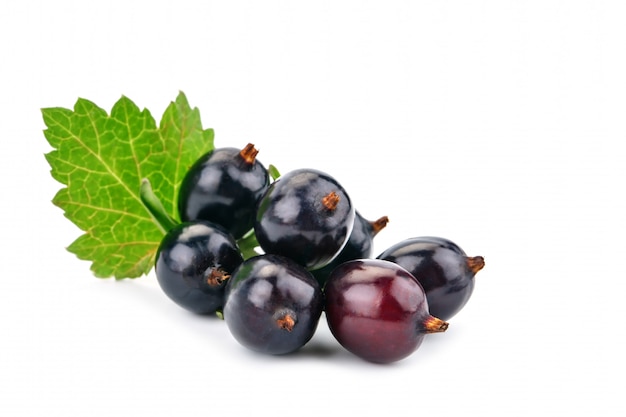 Premium Photo Delicious Ripe Black Currant On A White Surface