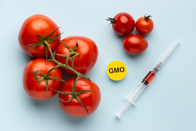 おいしいトマト遺伝子組み換え食品 無料の写真