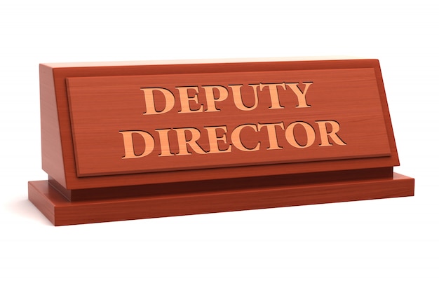 director job title examples