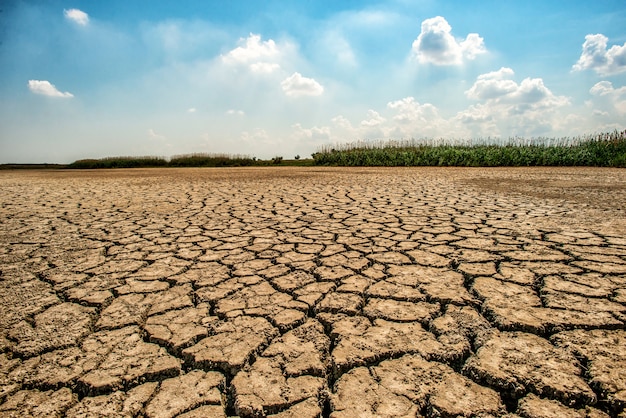 Premium Photo | Desert landscape with cracked earth