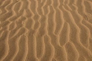 砂漠の砂のテクスチャsanddune 無料の写真