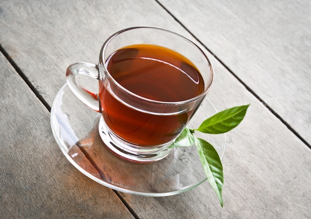 chá verde fitoterapico emagrecer
