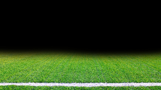 10 Soccer Grass Colors That Elevate the Game