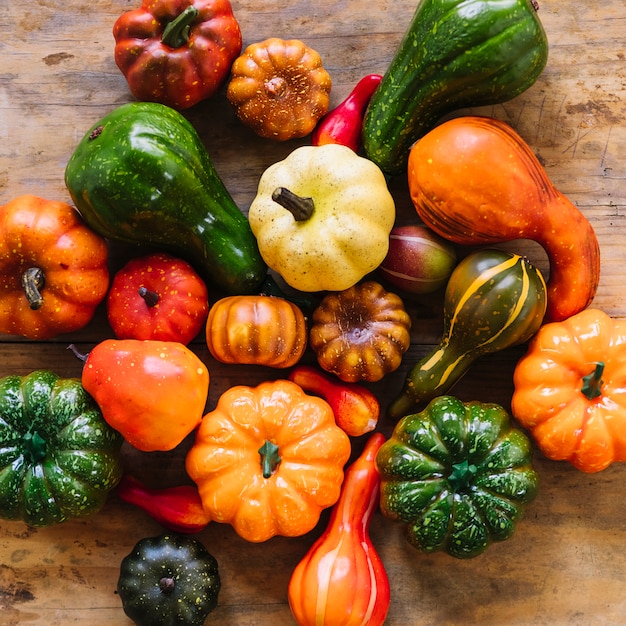 Free Photo | Different color pumpkins on desk