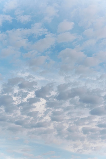 Free Photo | Different shapes of white clouds