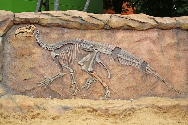 fossil model dw10f2