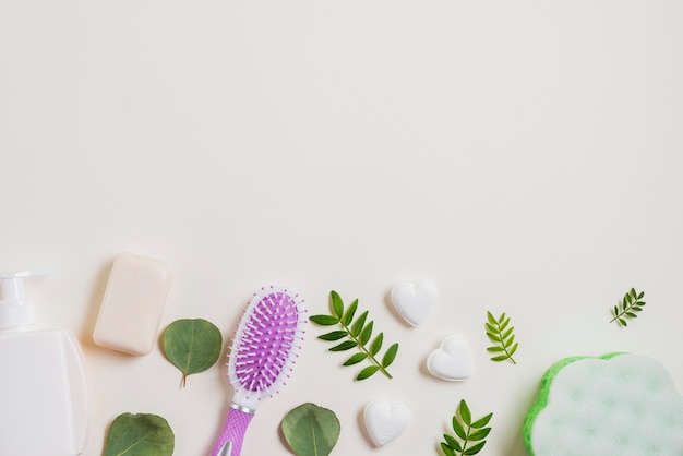 Dispenser; soap; hairbrush decorated with leaves on white background Free Photo