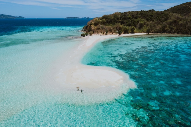 Premium Photo | Ditaytayan island in the philippines, coron province ...