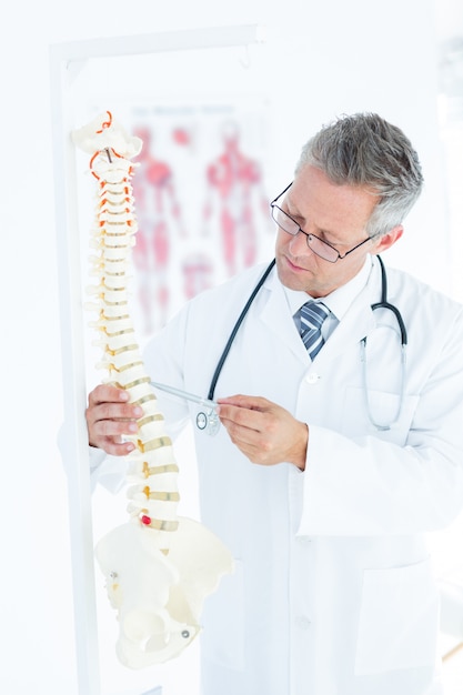 Premium Photo | Doctor showing anatomical spine with his pen