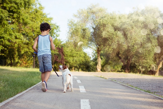 Premium Photo | Dog and child backwards walking at the park sunset.