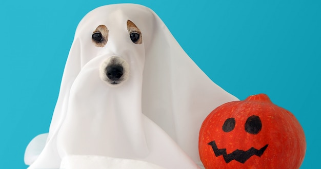 犬はハロウィーンのカボチャと幽霊として座る プレミアム写真