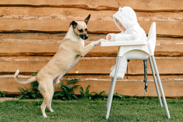 standing high chair