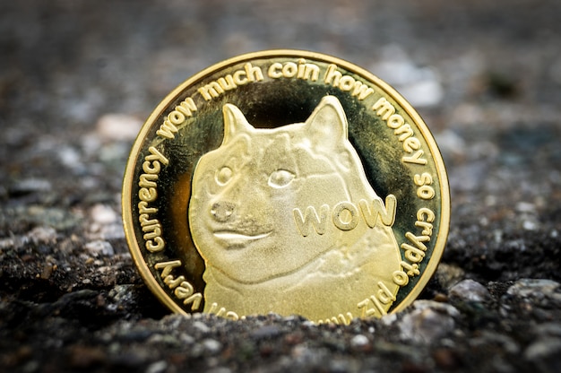 doge cryptocurrency
