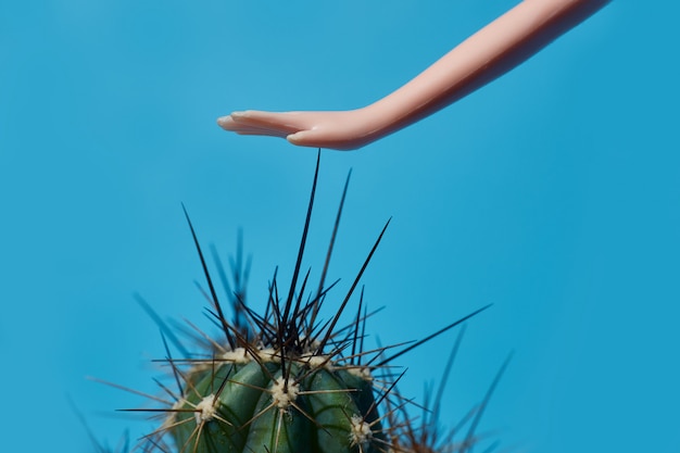 Premium Photo Doll Hand Touches The Cactus Spines Close Up Blue Background With Copy Space