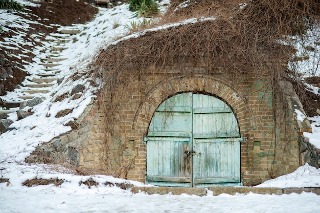 Double Doors Covered With Ivy Vintage Blue Garden Gate Door