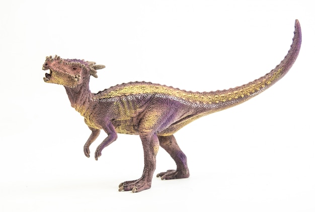 dracorex dinosaur