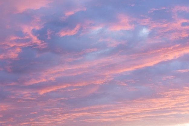 劇的な夕焼け空の背景 夕暮れのピンクと紫の色 プレミアム写真