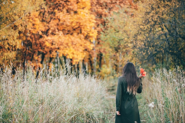 Dreamy Beautiful Girl With Long Natural Black Hair On Background With Colorful Leaves Fallen Leaves In Girl Hands In Autumn Forest Girl Surrounded By Vivid Foliage Back View No Face Premium
