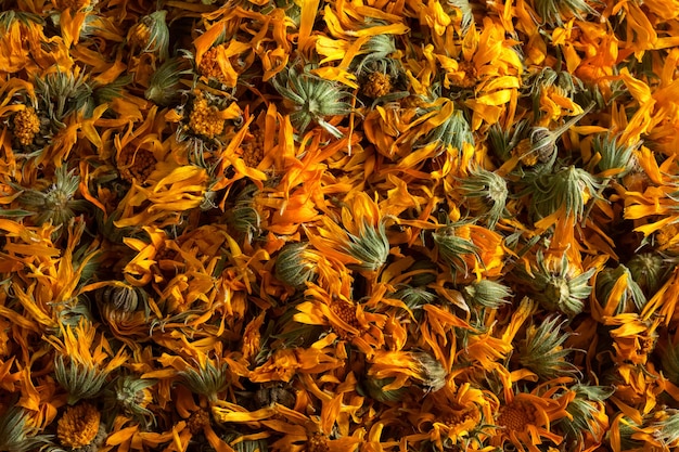 Premium Photo Dried Calendula Herb Flowers