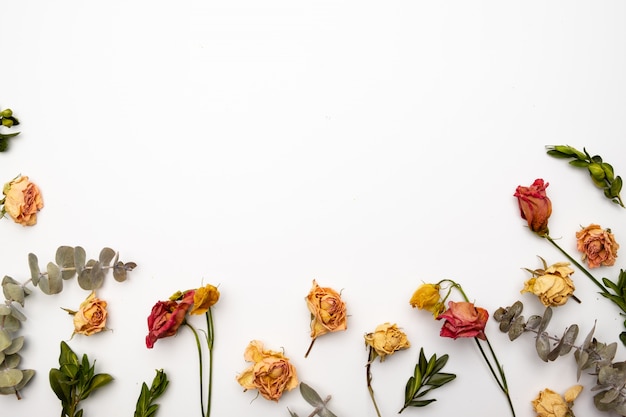 ドライフラワーの組成物 乾燥したバラで作られたフレーム フラット横たわっていた トップビュー秋の花柄 プレミアム写真
